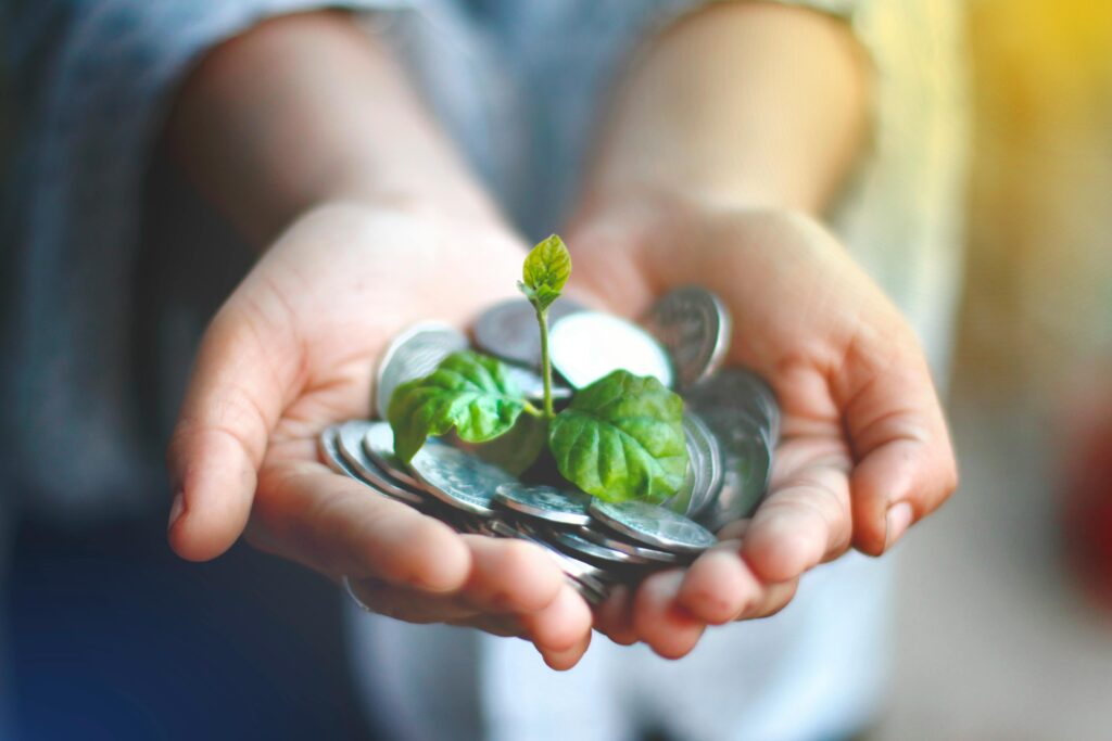 Hands cupping coins with a green plant sprouting, symbolizing financial growth.